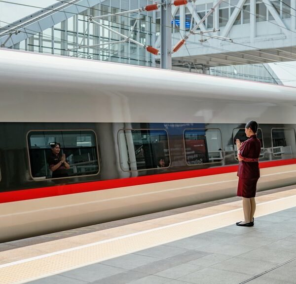 build your online platform