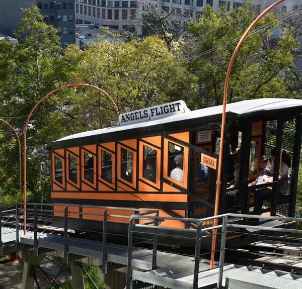 elevate your marketing platform