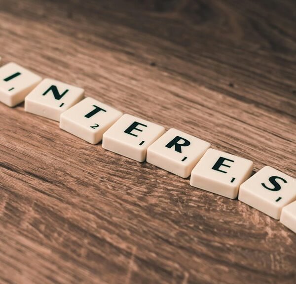 elevate your online marketing