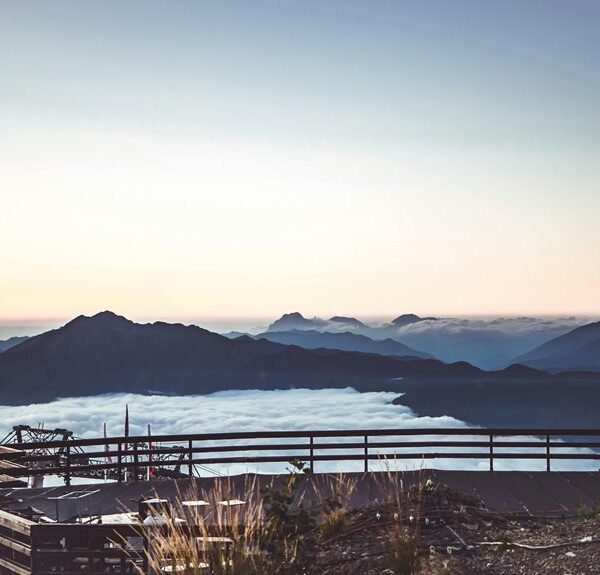 creative web platform name