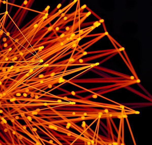 innovative digital network platform