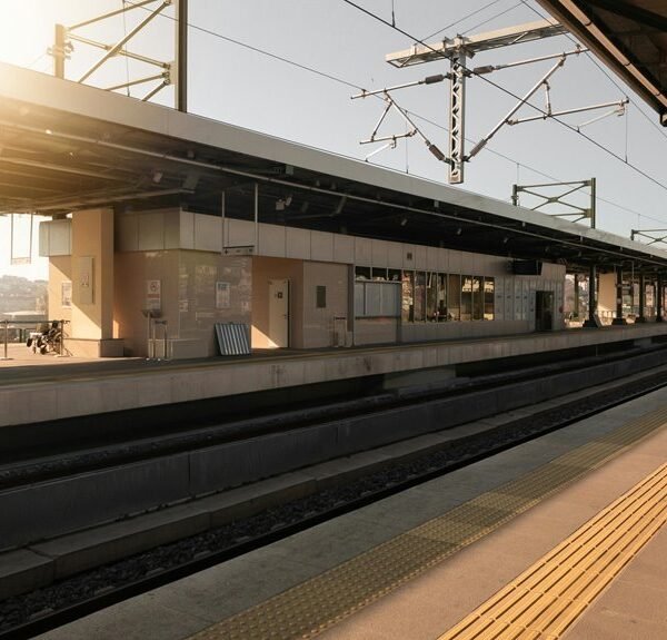 online platform dynamic digital hub